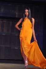at Blenders Pride Fashion Tour 2011 Day 2 on 24th Sept 2011 (116).jpg